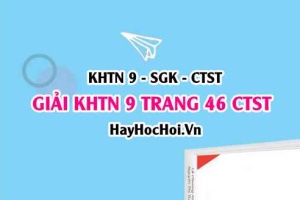 Giải KHTN 9 trang 46 Chân trời sáng tạo SGK